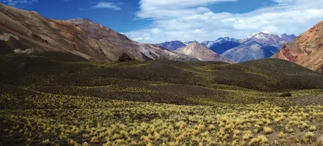 Argentina_header