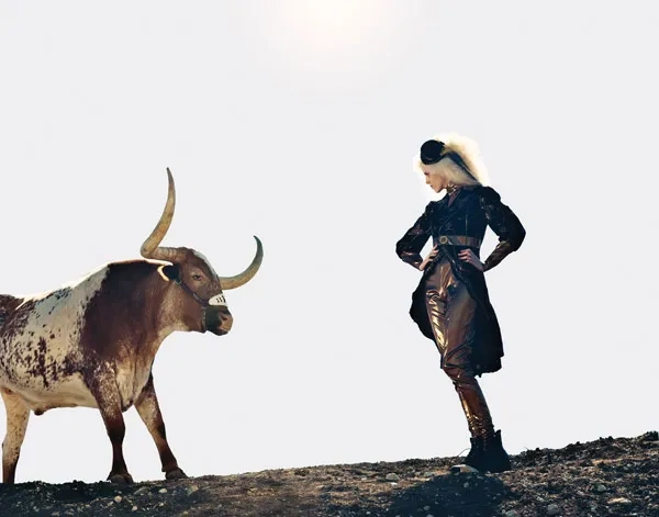 Bevo-model