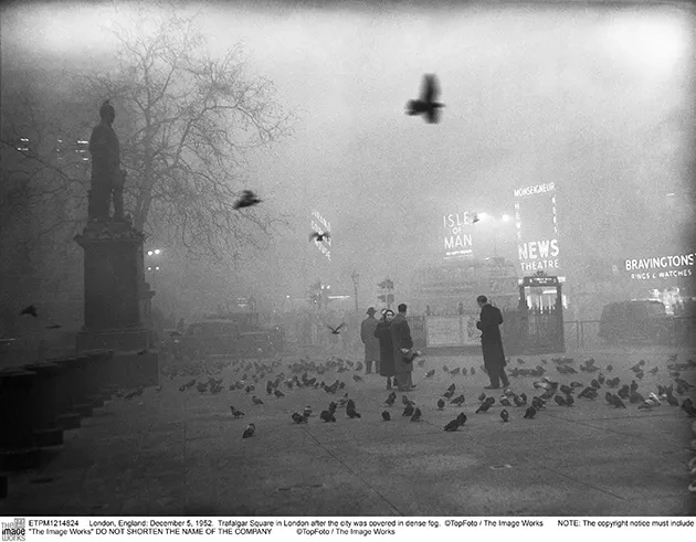 Birds-in-Trafalgar-Square_©TopFoto-The-Image-Works