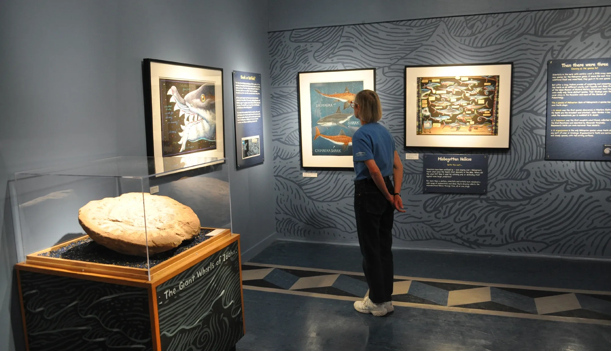 Buzz Saw Exhibit_TMM2017