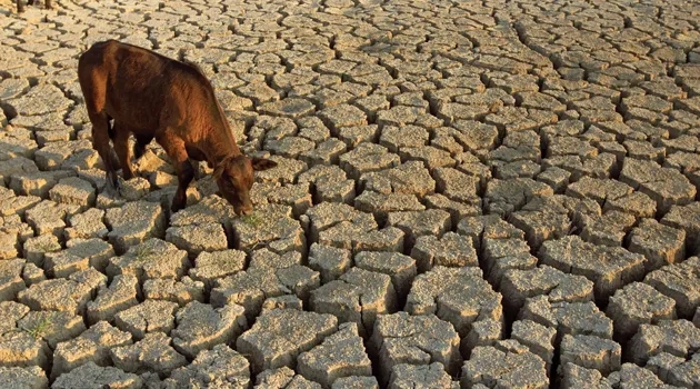 The “D” Word: Drought