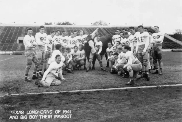 Texas Longhorns (American football team) with their mascot Big Boy, a Longhorn steer), Austin, Texas, USA.      Date: 1941
