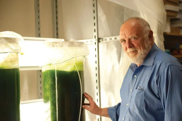 Hebner_Algae-2