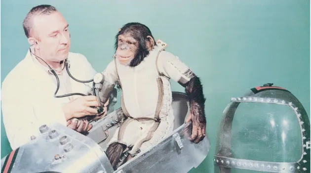 Cold War Monkey Business