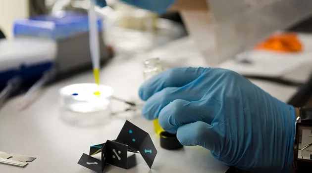 UT Chemists Create Origami-Like Sensor To Detect Malaria, HIV