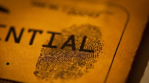 Looking for a Tax Refund? So Are Identity Thieves