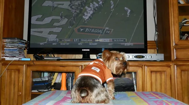The Game's on, I'll Get some Turkey later