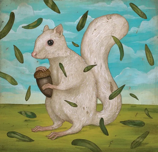Forty Acres Field Guide: Fox Squirrel