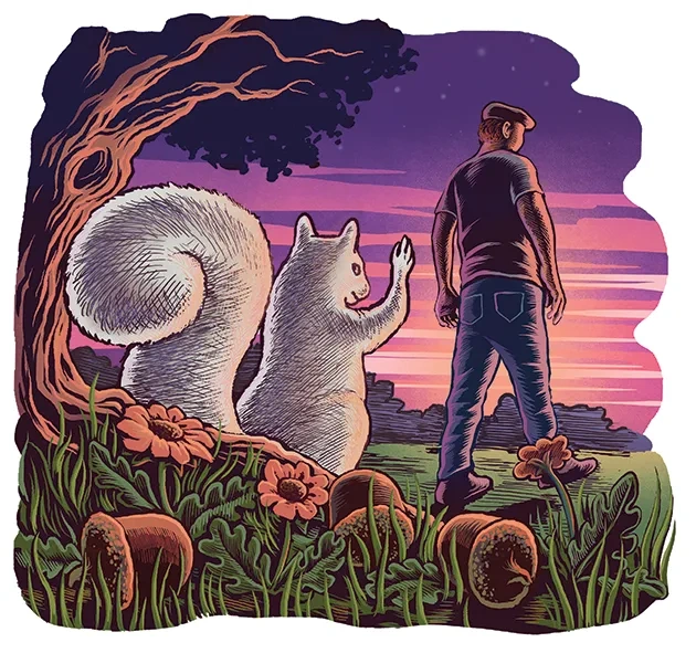 albino_squirrel
