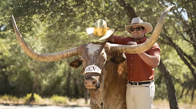 Bevo XIV Is Retiring