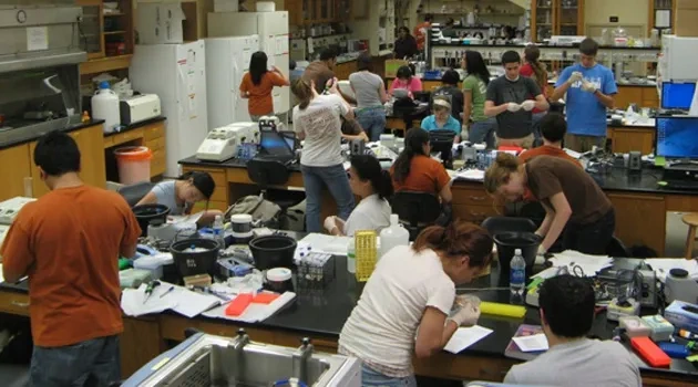 Innovative Freshman Research Program Is Win-Win for Students, Scientists
