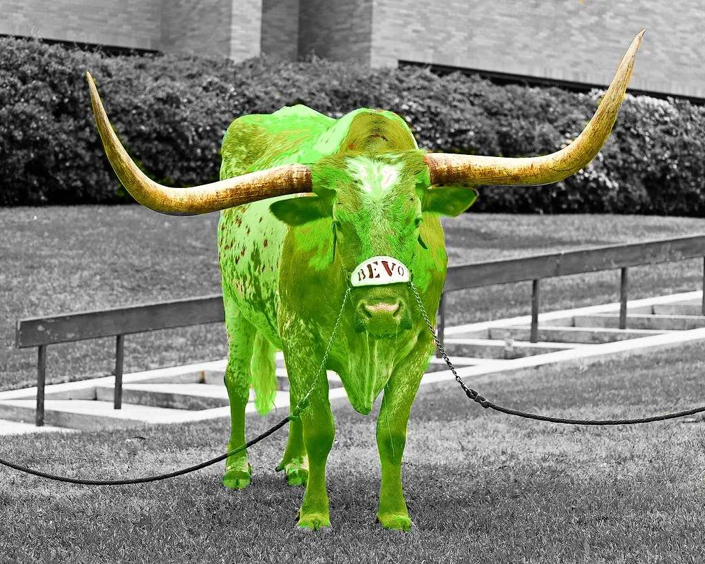 greenbevo