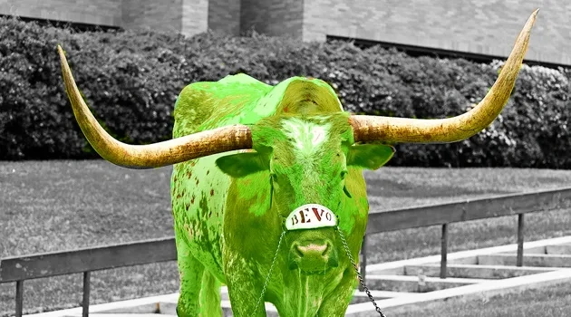 greenbevo-copy