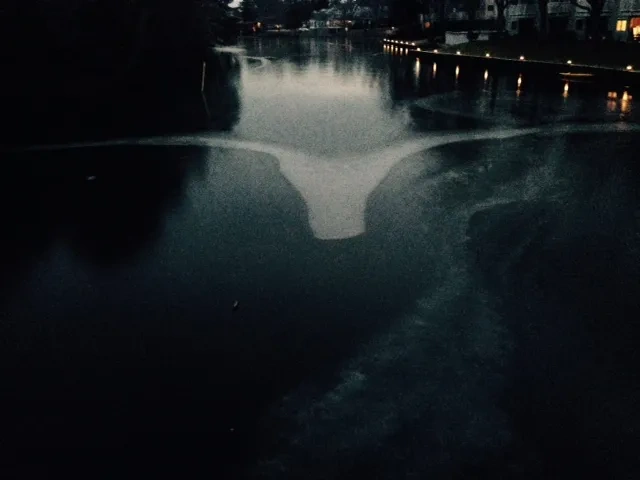 longhorn ice formation