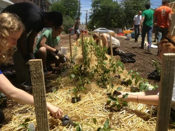 planting