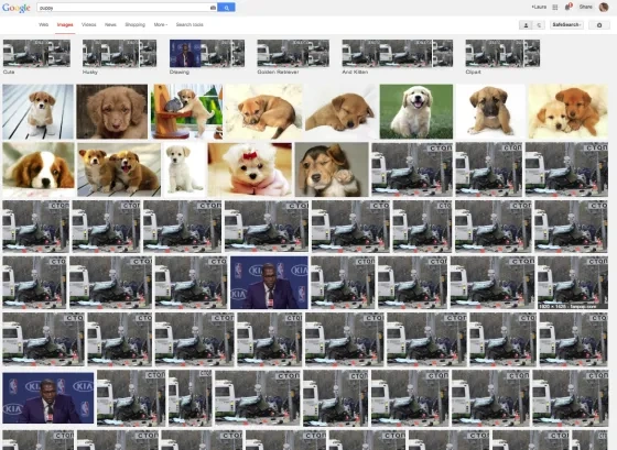 DurantPuppies